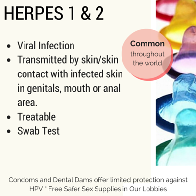 Herpes Herpes