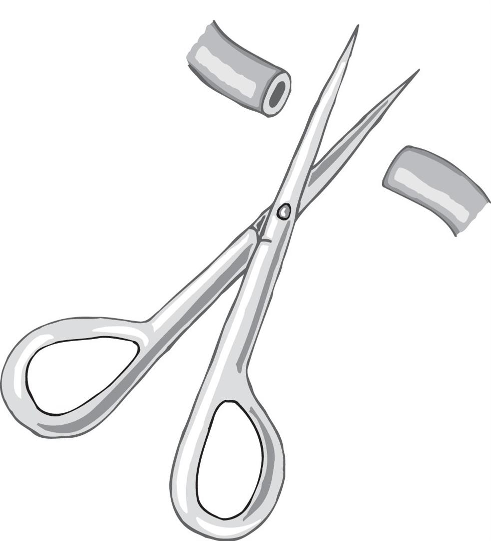 sterilization sterilization